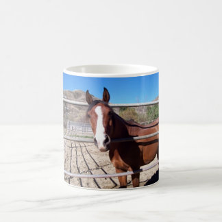 abu magic mug