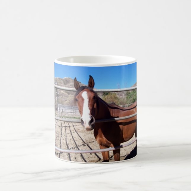 abu magic mug (Center)
