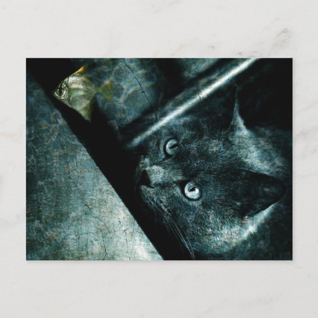 Abyss cat - Carte postale (Devant)