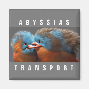 ABYSSIAS_TRANSPORT MAGNET
