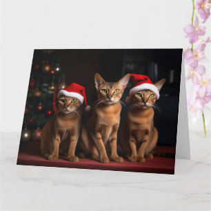Abyssinian by the Fireplace Christmas Card