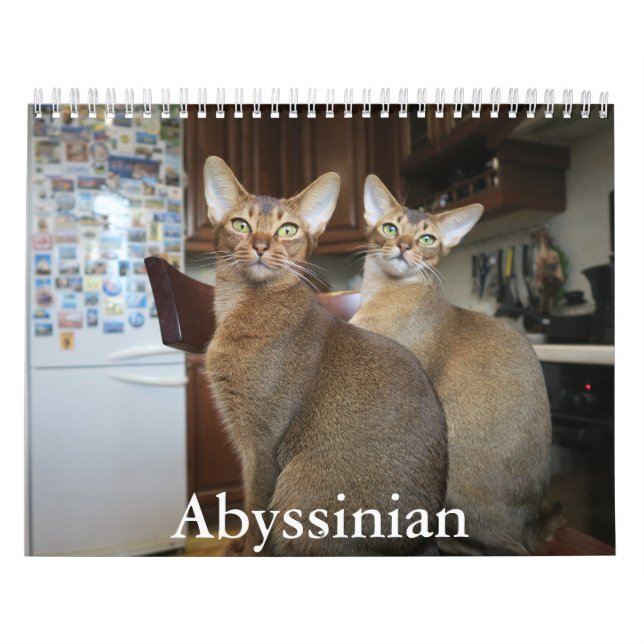 Abyssinian Calendar (Cover)