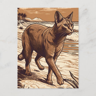 Abyssinian-Cat at a tropical beach during sunset Postcard