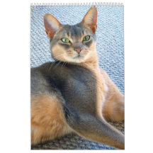 Abyssinian Cat Calendar (customize any year)