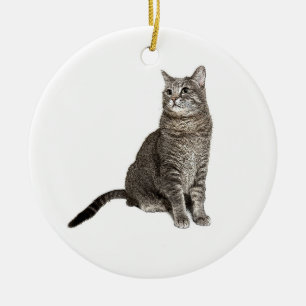 Abyssinian Cat Ceramic Ornament