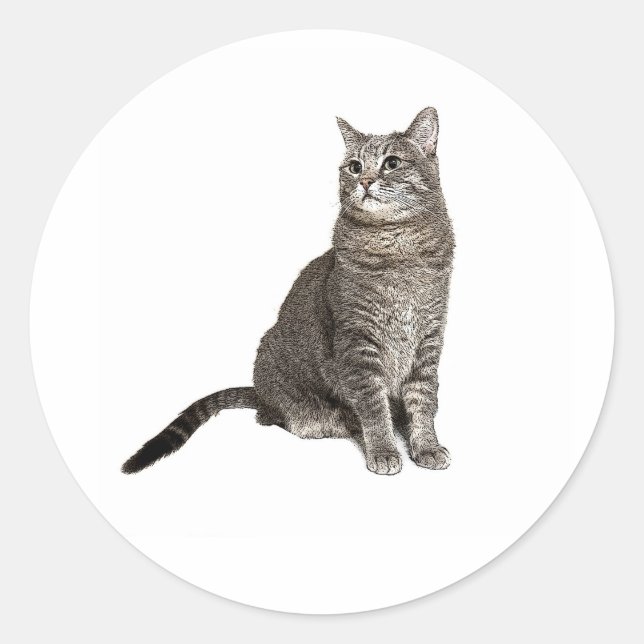 Abyssinian Cat Classic Round Sticker (Front)