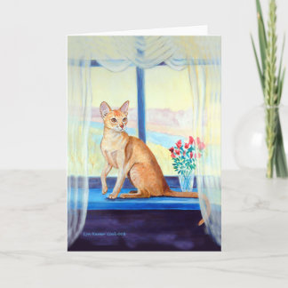 Abyssinian Cat Greeting Cards