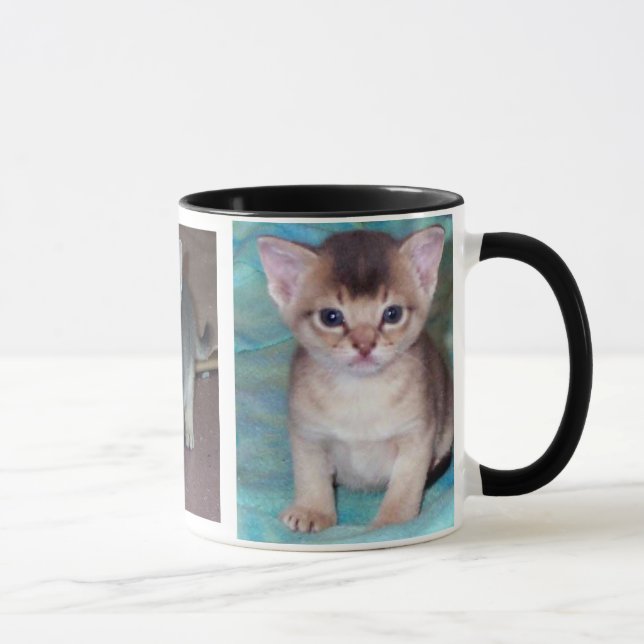 Abyssinian Cat Kittens Mug (Right)