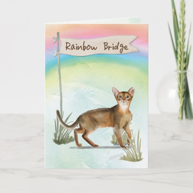 Abyssinian Cat Pet Sympathy Over Rainbow Bridge Card (Front)