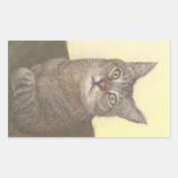 Abyssinian Cat Rectangular Sticker