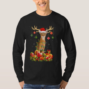Abyssinian Cat Reindeer Santa Hat Christmas Light T-Shirt