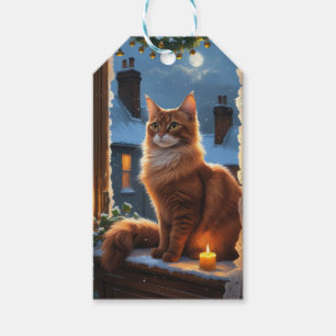 Abyssinian Cat With Christmas Lights Holiday Gift Tags