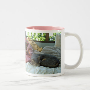 Abyssinian Cats Two-Tone Coffee Mug