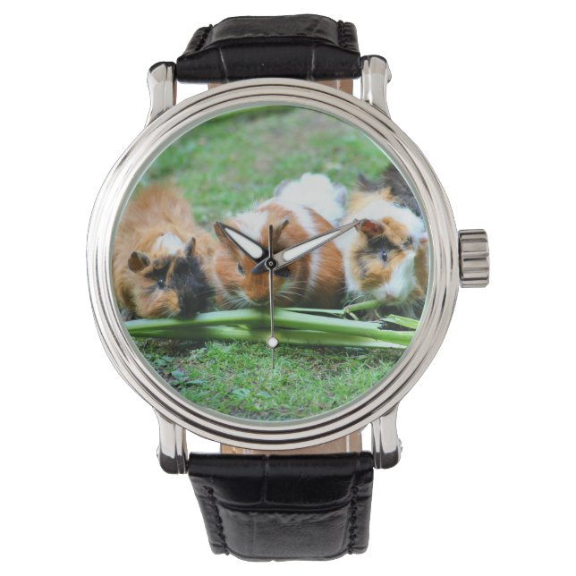 Abyssinian guinea pig watch (Front)