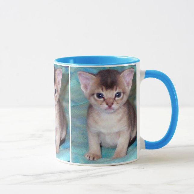 Abyssinian Kitten Mugs (Right)