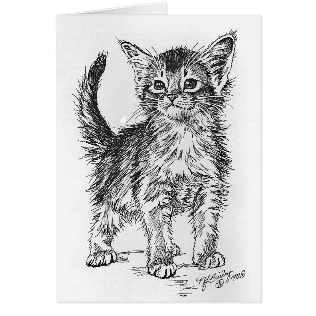 Abyssinian Kitten Pen and Ink (Front)