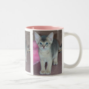 Abyssinian Kitten Six Weeks Old Two-Tone Coffee Mug