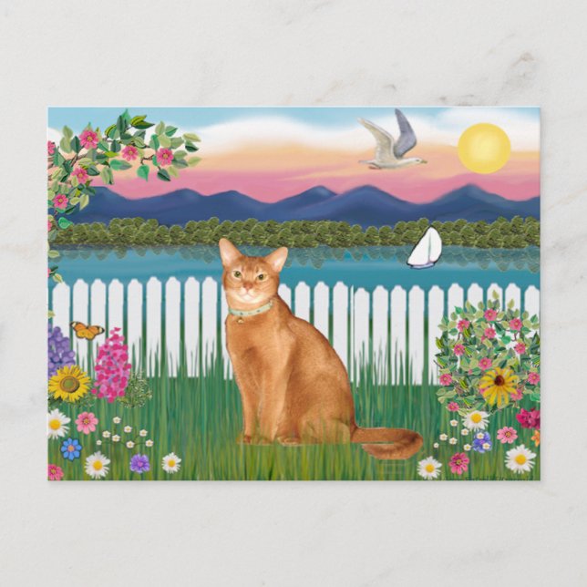 Abyssinian (red 18) - Garden-Shore Postcard (Front)