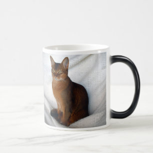 Abyssinian Ruddy Female Cat Mug