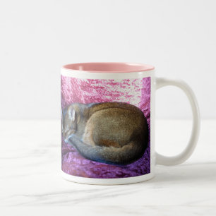 Abyssinian Ruddy Female Cat Taking it Easy Two-Tone Coffee Mug
