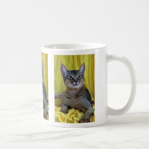 Abyssinian, usual coffee mug