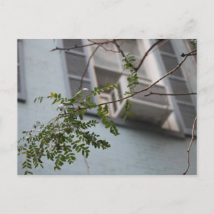 "AC LEAVES" POSTCARD (COLLECTIBLE)
