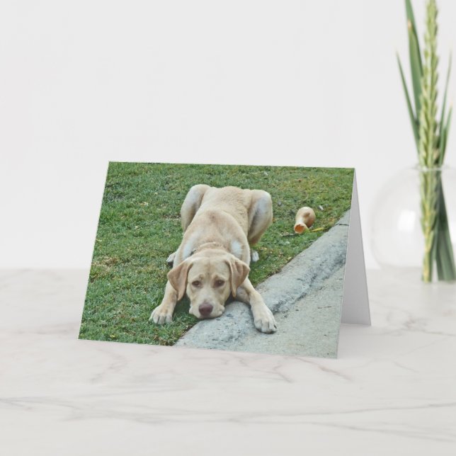 AC- Yellow Labrador Puppy Notecards (Front)