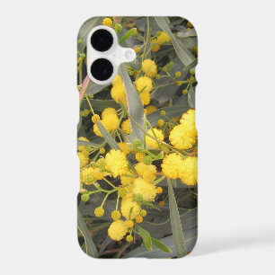 Acacia