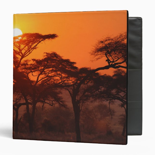 Acacia forest silhouetted at sunset, Tarangire Binder (Front/Inside)