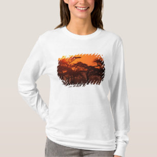 Acacia forest silhouetted at sunset, Tarangire T-Shirt