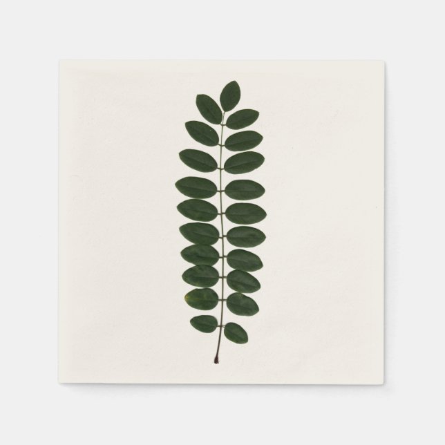 Acacia Leaf Napkin (Front)