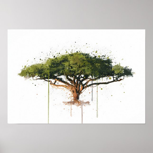 Acacia Poster (Front)