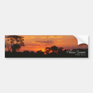 Acacia Sunset Bumper Sticker