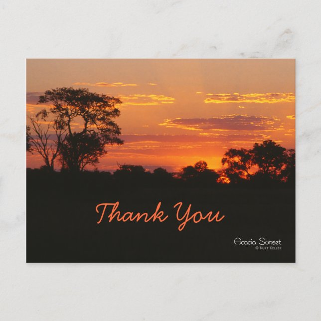 Acacia Sunset Thank You Postcard (Front)
