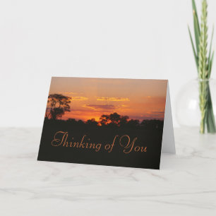 Acacia Sunset Thinking of You Card