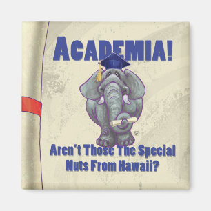 Academia Scroll Magnet