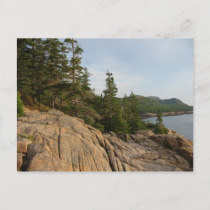Acadia Coast II Postcard