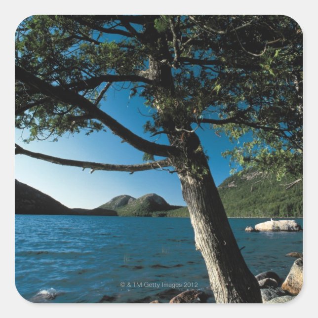 Acadia National Park , London Pond , Maine Square Sticker (Front)