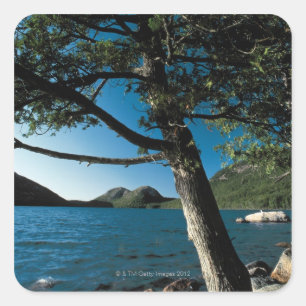 Acadia National Park , London Pond , Maine Square Sticker