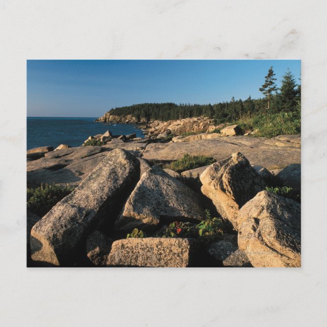 Acadia National Park , Maine 2 Postcard (Front)