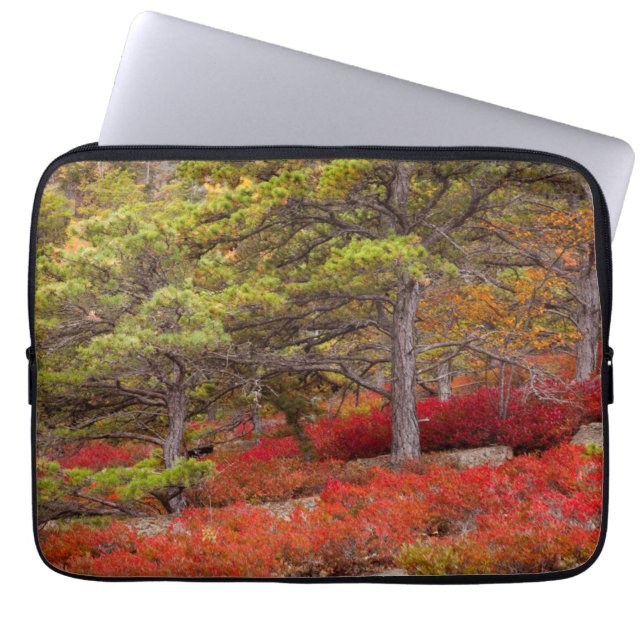 Acadia National Park, Maine Laptop Sleeve (Front)