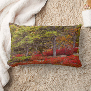 Acadia National Park, Maine Lumbar Pillow