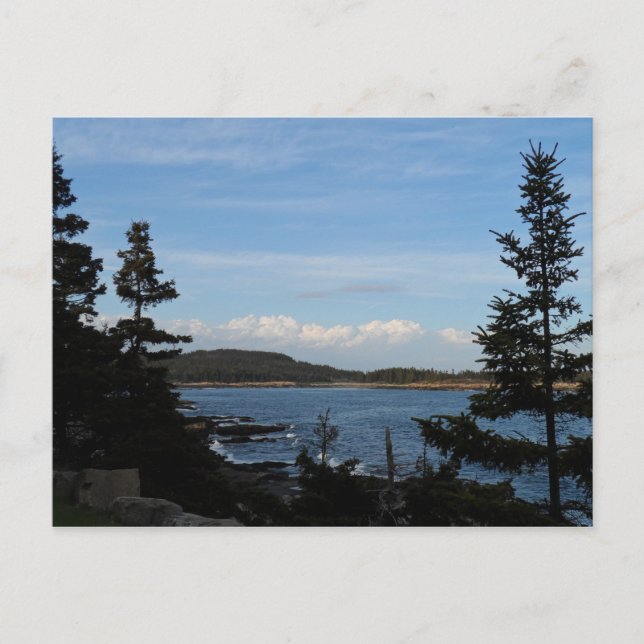Acadia National Park, Maine Postcard (Front)