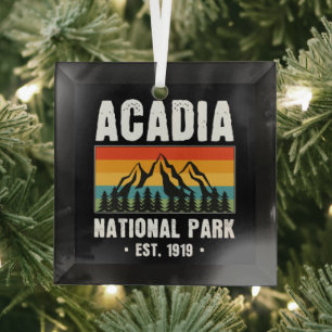 Acadia National Park, Maine Retro Vintage Glass Ornament