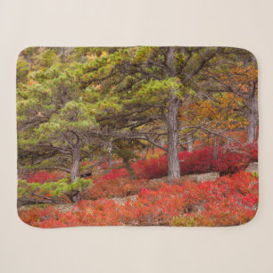 Acadia National Park, Maine Sherpa Blanket
