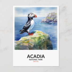 Acadia National Park - Perched Puffin Postcard