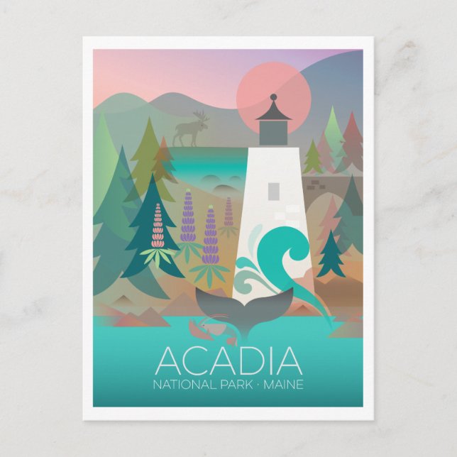 Acadia National Park Postcard (Front)