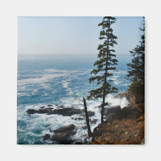 Acadia Shore Magnet - 1