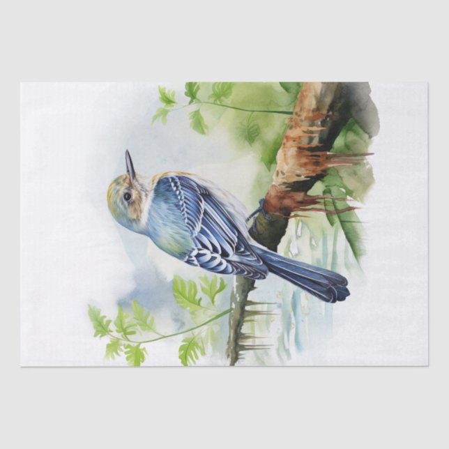 Acadian Flycatcher Bird Tissue Paper (Front)