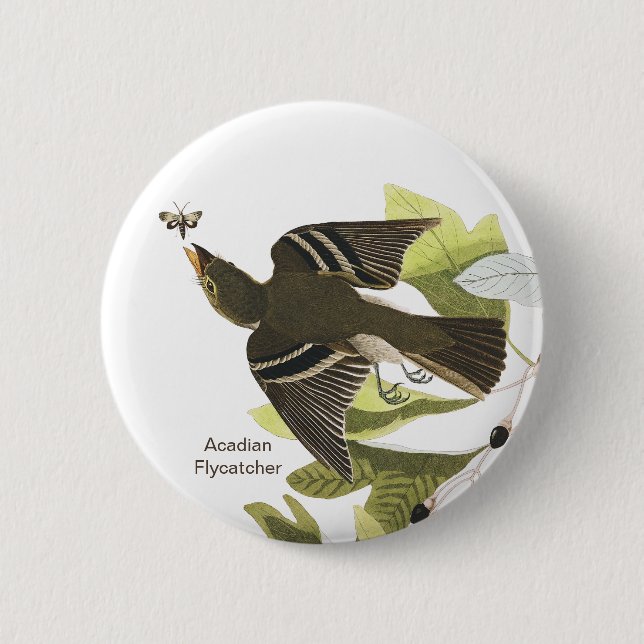 Acadian Flycatcher, John James Audubon Birdwatcher 2 Inch Round Button (Front)